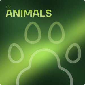Animals