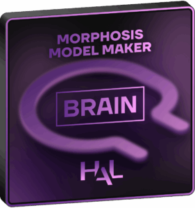 Brain