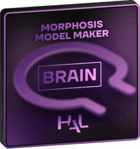 Brain - Free Trial