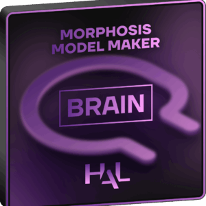 Brain - Free Trial